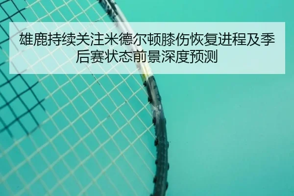 雄鹿持续关注米德尔顿膝伤恢复进程及季后赛状态前景深度预测